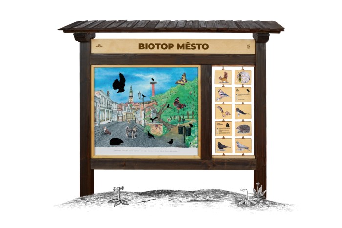 Biotop (M) Město