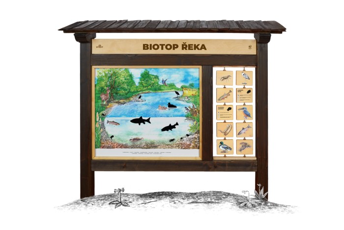 Biotop (M) Řeka