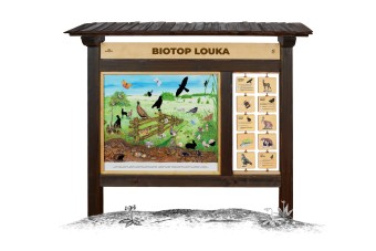 Biotop (M) Louka