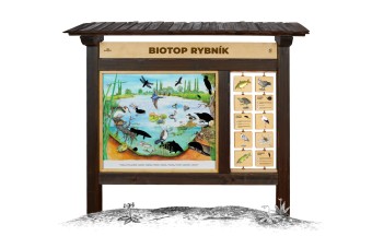 Biotop (M) Rybník