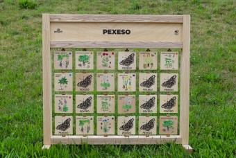 Pexeso rostliny  - Stolní (loňský design)